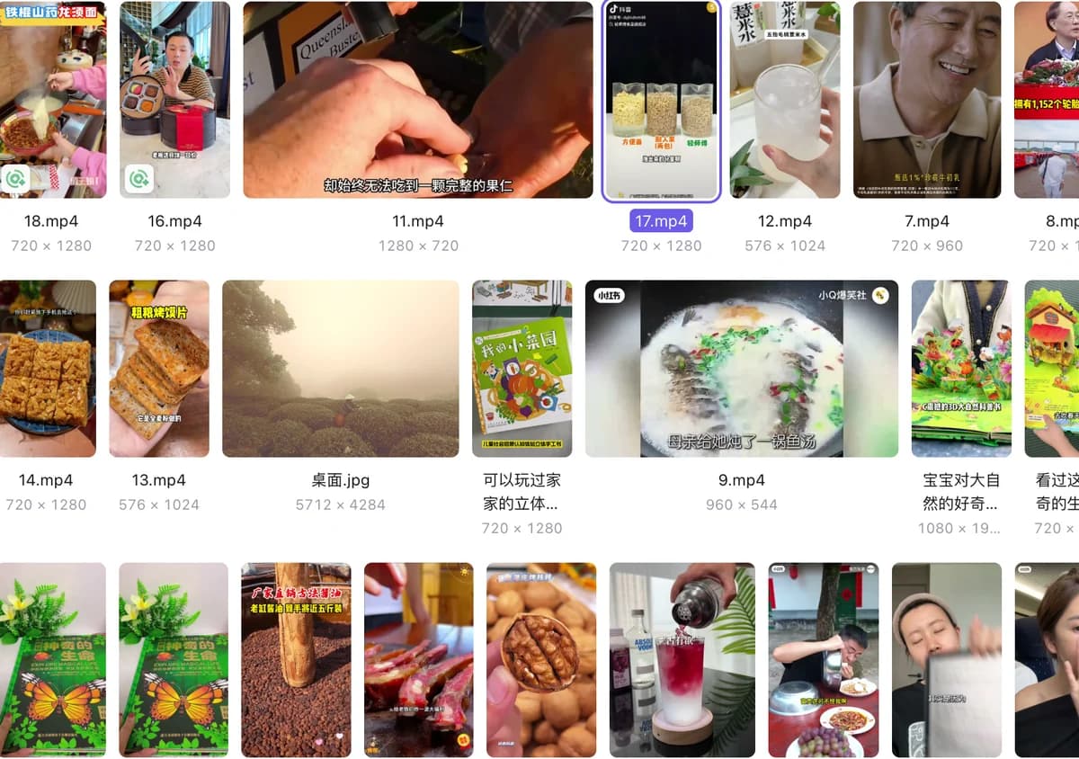 素材库中的视频与图片缩略图,支持浏览与分类管理